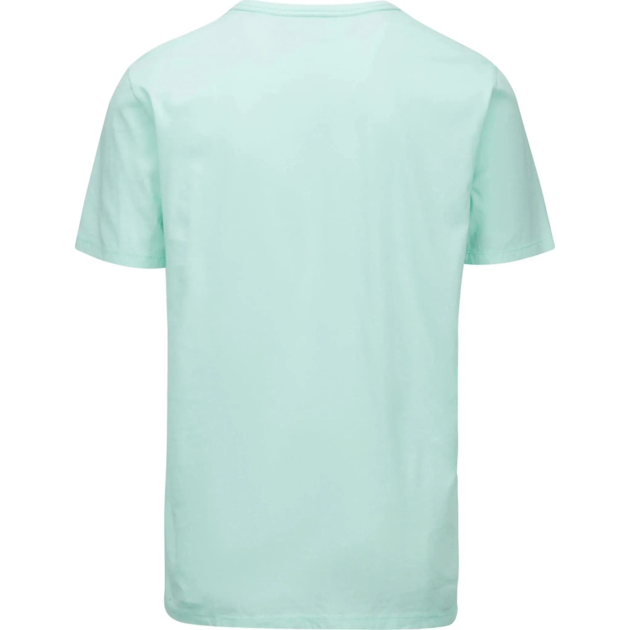Crew Pocket Tee (Mint)