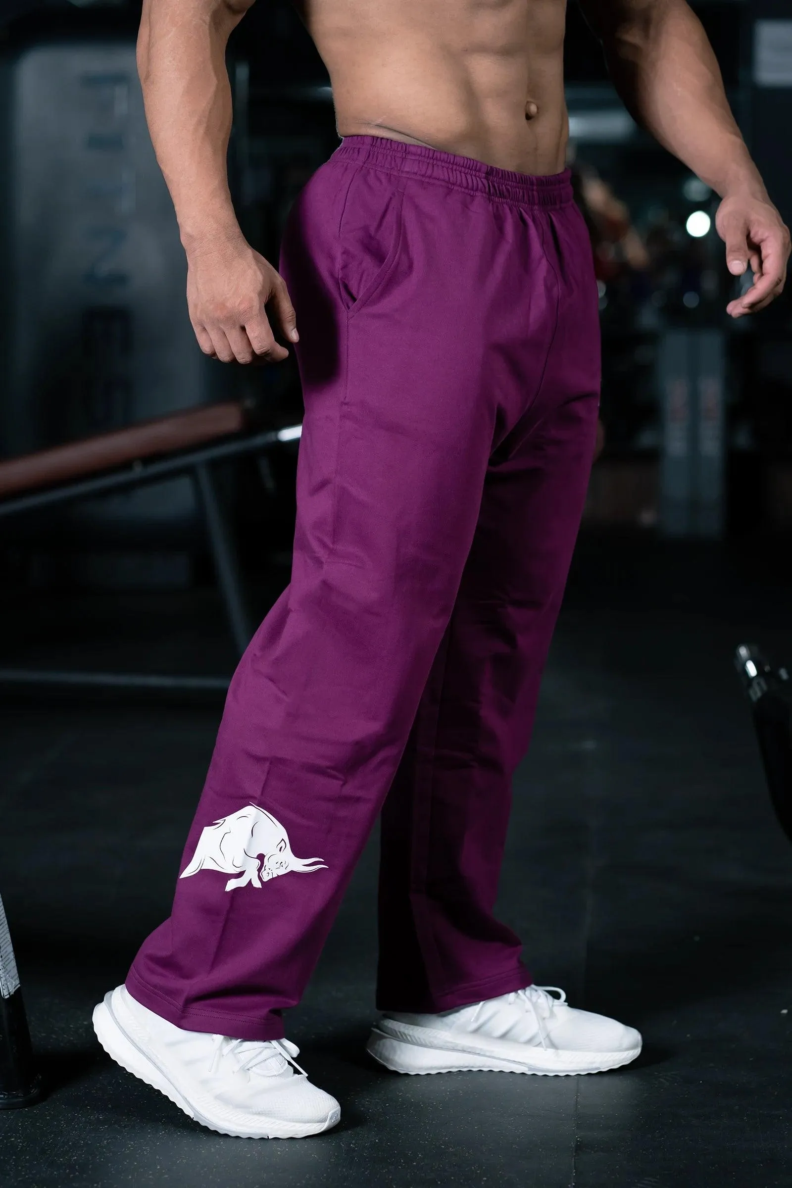 JOURNEY WILDES EVERYDAY ESSENTIAL SWEAT PANTS (MYSTIC PLUM)
