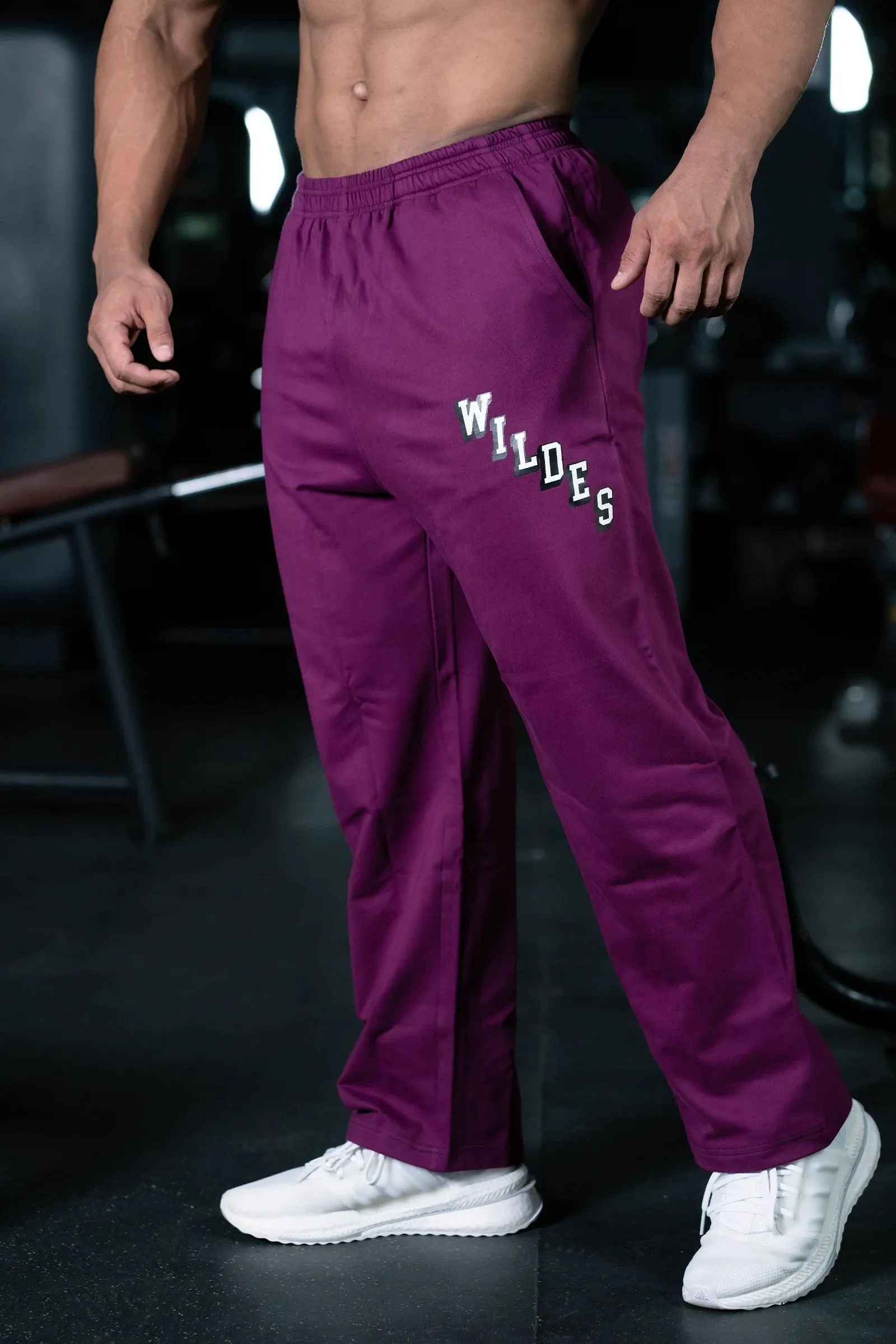 JOURNEY WILDES EVERYDAY ESSENTIAL SWEAT PANTS (MYSTIC PLUM)
