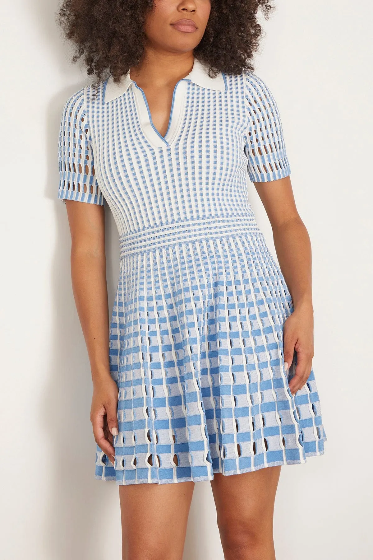 Tovi Polo Mini Dress in Blue Hydrangea Multi (TS)